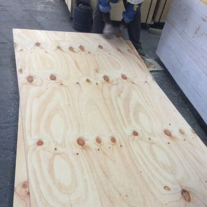 Cdx Pine Plywood för betongformning