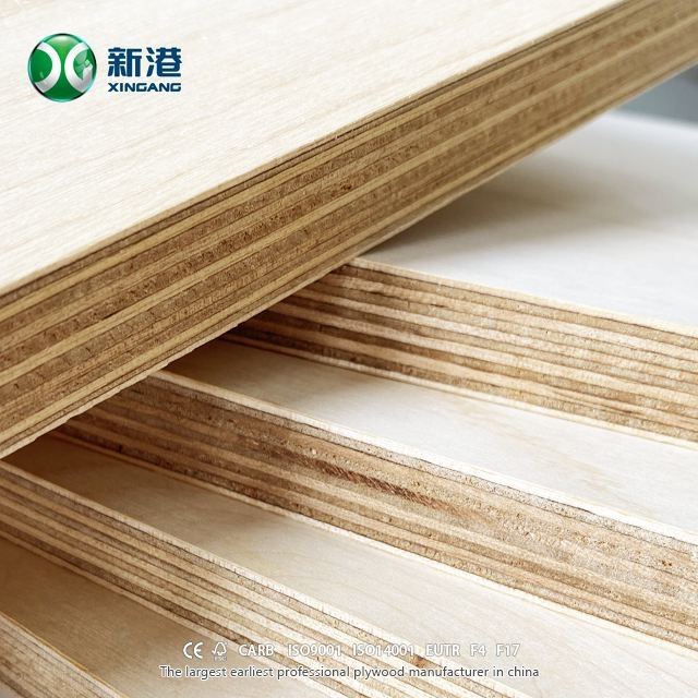9mm 12mm 15mm 18mm Birch Plywood
