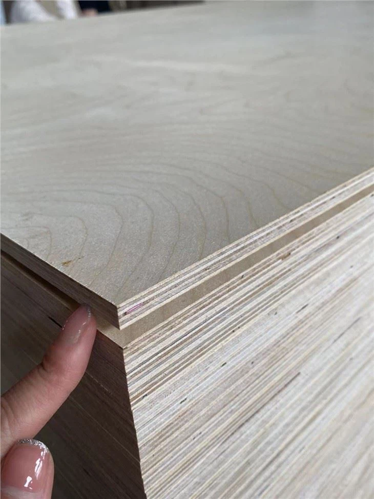 Bintangor Plywood Construction Poplar Alla storlekar och tjocklekar Teakplywoods