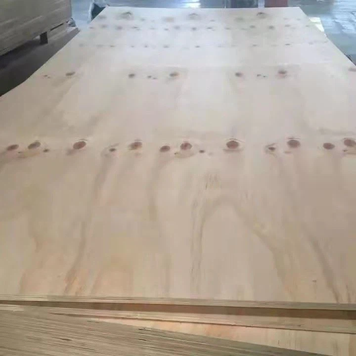 CDX Plywood Factory Price Structure Best Quality