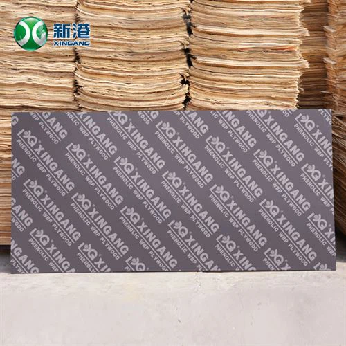 Filmbelagd plywood 12mm