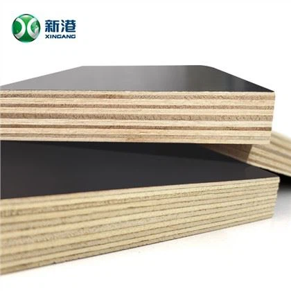 Poplar Film Faced Plywood