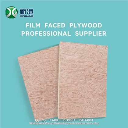 XINGANG KOMMERSIELL PLYWOOD