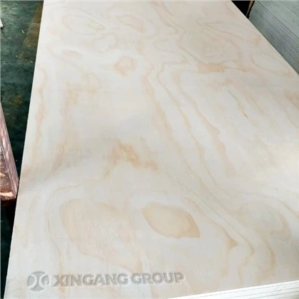 12mm 15mm 18mm CDX Furu Plywood För Bygg