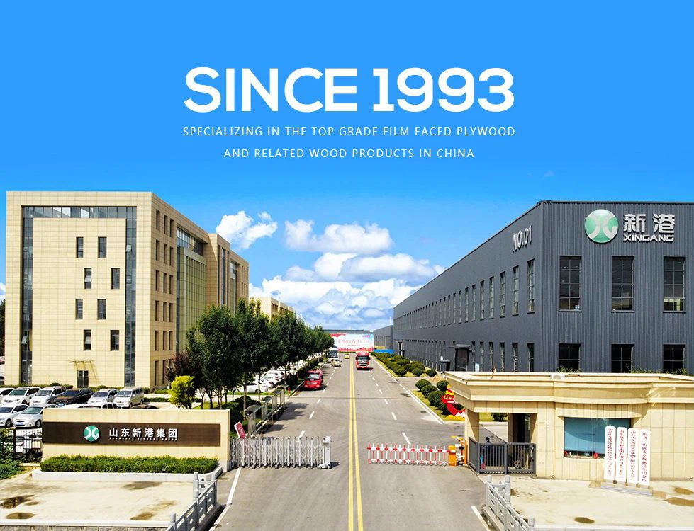 Shandong Xingang Grupp