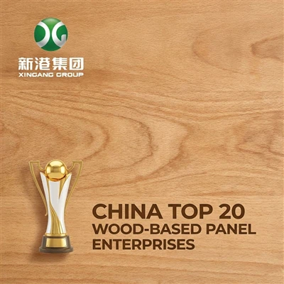 Triumferande framgång! Xingang Group vinner Dual Top 10 Brands Awards